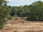 grafheuvel